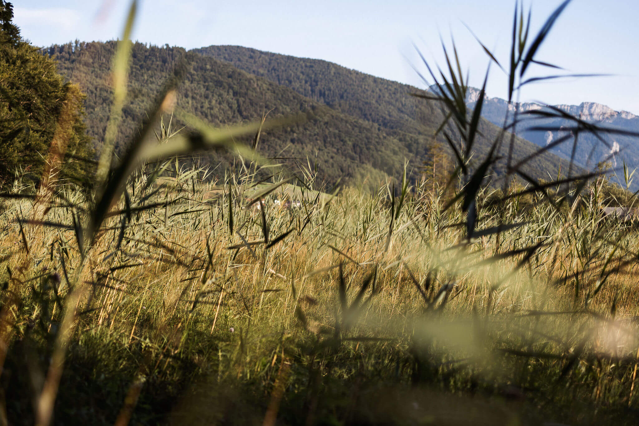 Frauenportait-Conny-BernaditaFotografie-Juli2025-028